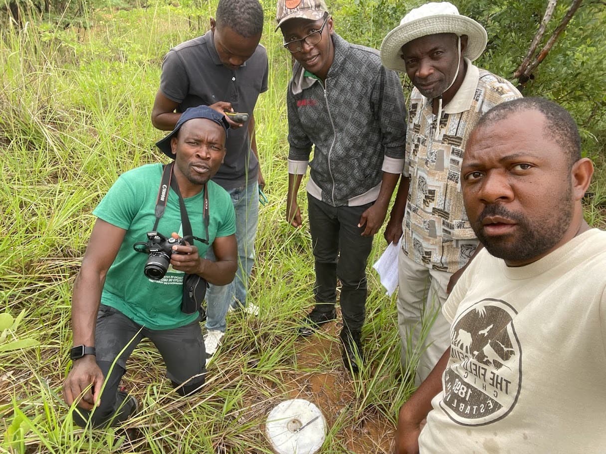 Formação, Educação Ambiental e Desenvolvimento sustentável