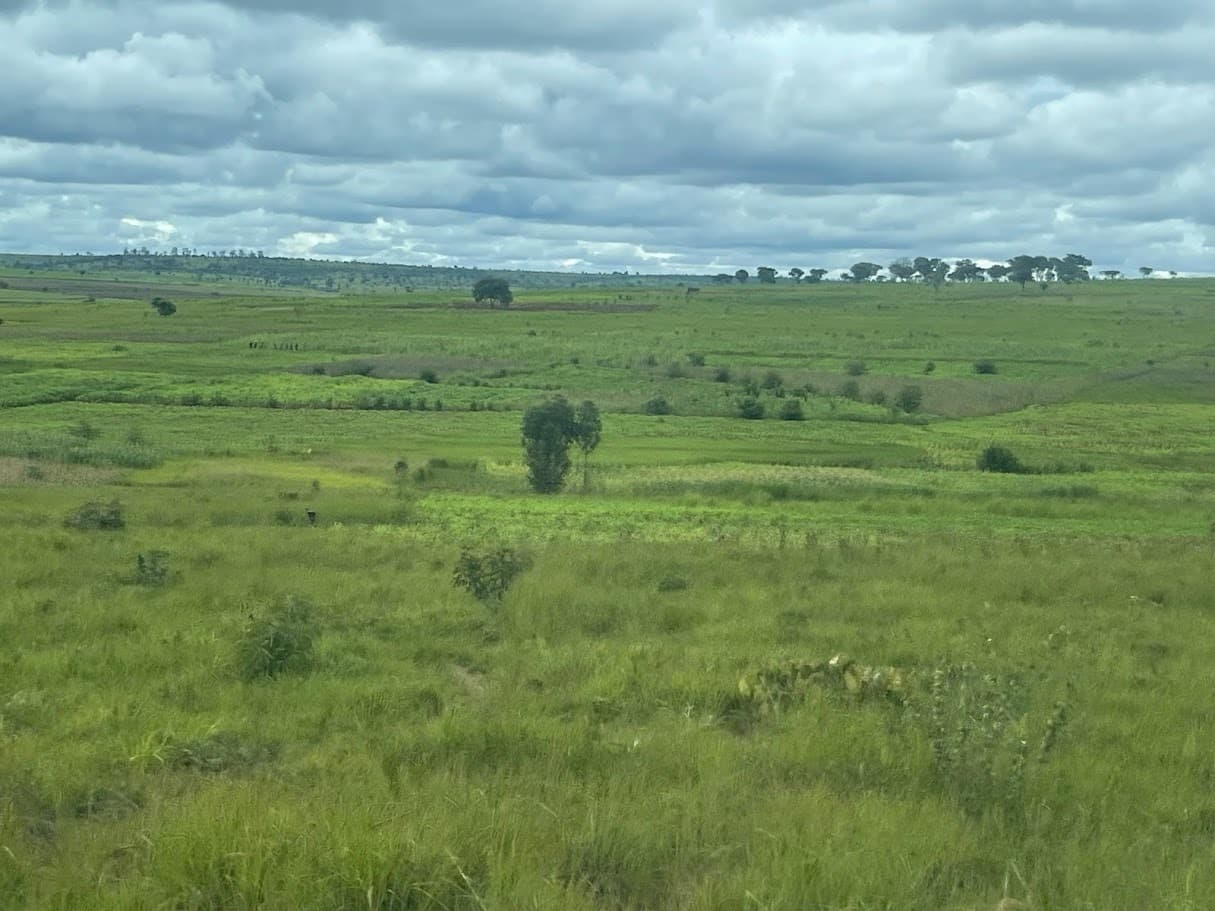 Educação Ambiental